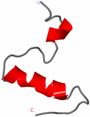 Image NMR Structure - model 1