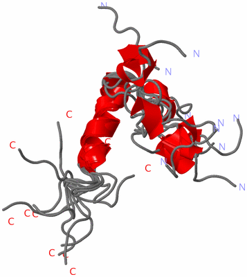 Image NMR Structure - all models