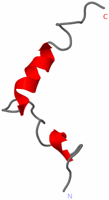 Image NMR Structure - model 1