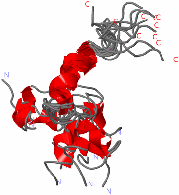 Image NMR Structure - all models