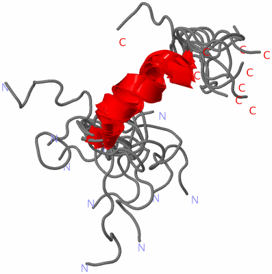 Image NMR Structure - all models