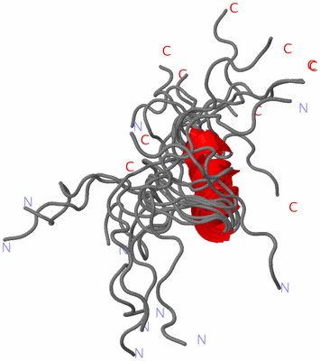 Image NMR Structure - all models