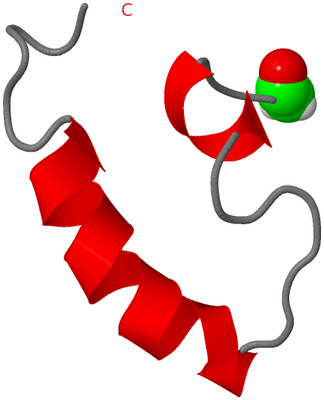 Image NMR Structure - model 1