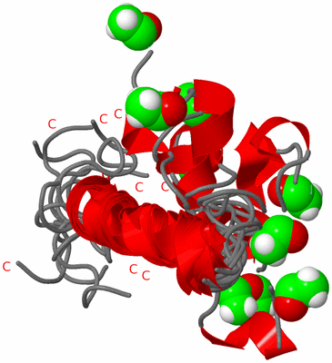 Image NMR Structure - all models