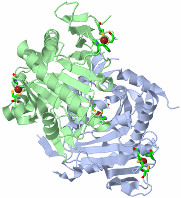 Image Asym./Biol. Unit - sites