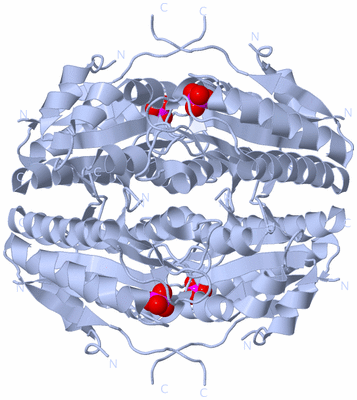 Image Biological Unit 1