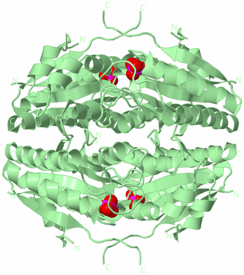 Image Biological Unit 3