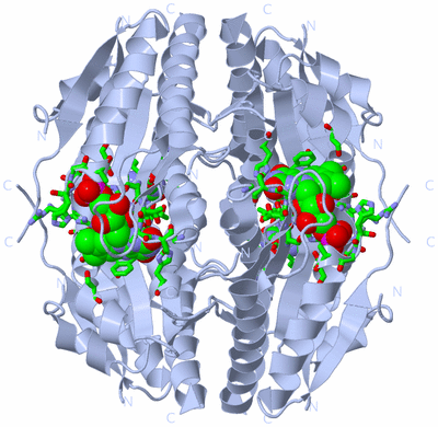 Image Biol. Unit 1 - sites