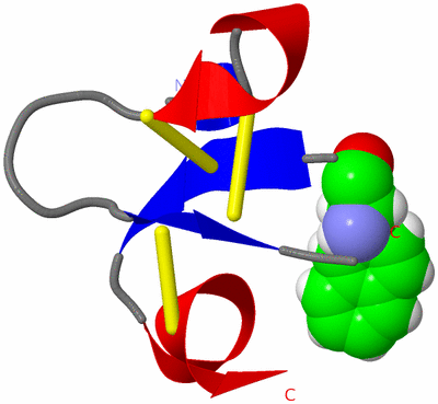 Image NMR Structure - model 1