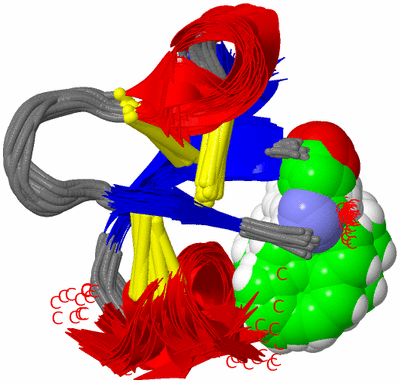 Image NMR Structure - all models