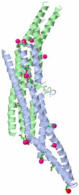 Image Asym. Unit - sites