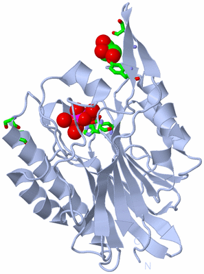 Image Biol. Unit 1 - sites