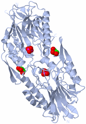 Image Biological Unit 2