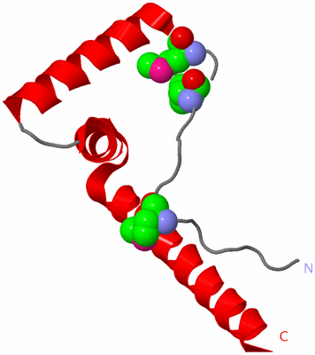 Image Asymmetric Unit