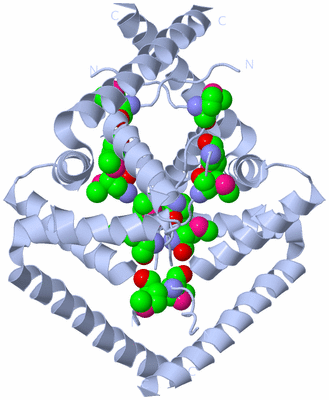 Image Biological Unit 2