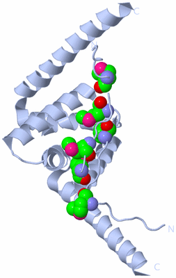 Image Biological Unit 3