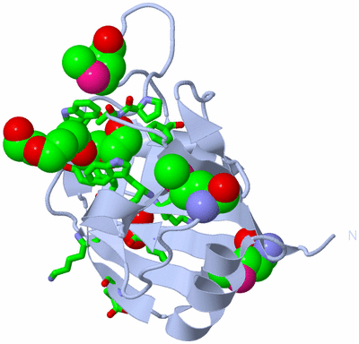 Image Biol. Unit 1 - sites