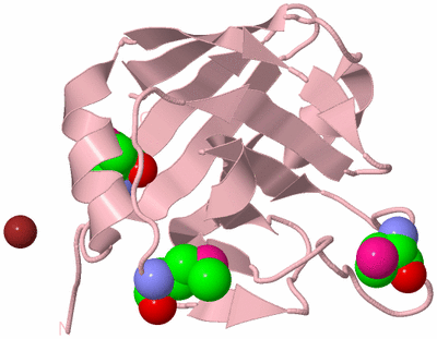 Image Biological Unit 3