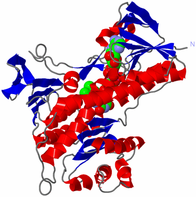 Image Asymmetric Unit