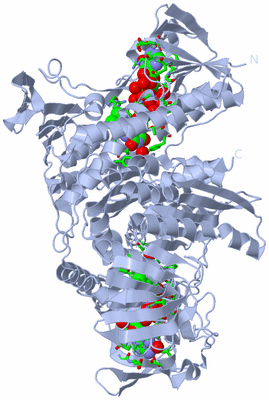 Image Biol. Unit 1 - sites