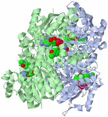 Image Biological Unit 1