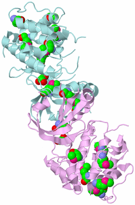 Image Biological Unit 3