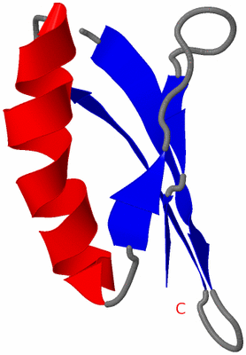 Image NMR Structure - model 1