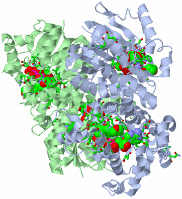 Image Biol. Unit 1 - sites