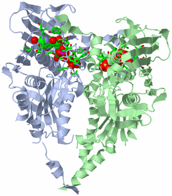 Image Biol. Unit 1 - sites