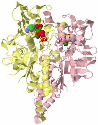 Image Biological Unit 2