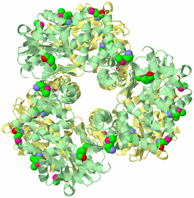 Image Biological Unit 2