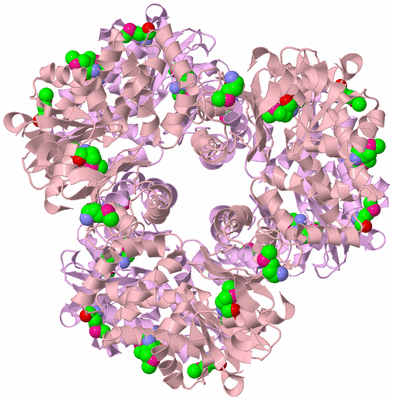 Image Biological Unit 3