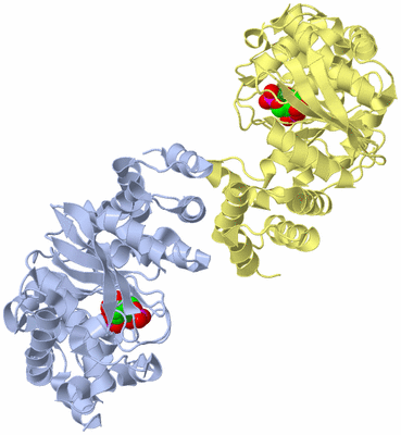 Image Biological Unit 1