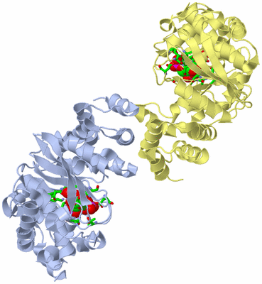 Image Biol. Unit 1 - sites