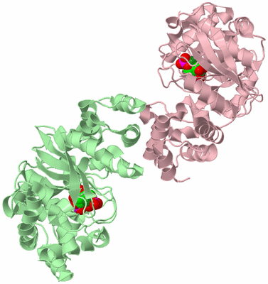 Image Biological Unit 2