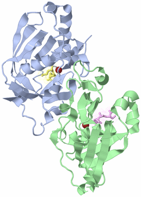 Image Asym./Biol. Unit