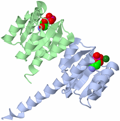 Image Asym./Biol. Unit