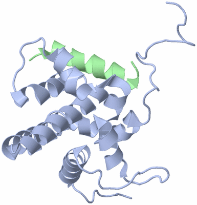 Image NMR Structure - model 1