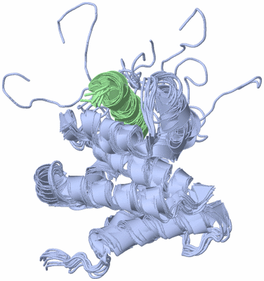 Image NMR Structure - all models