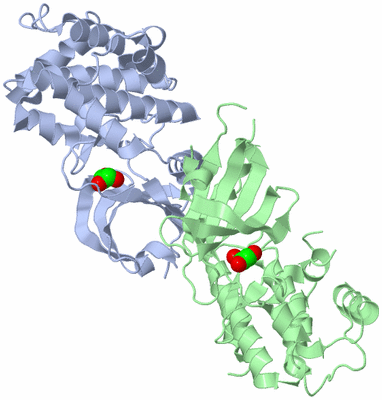 Image Asym./Biol. Unit