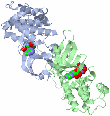 Image Asym./Biol. Unit