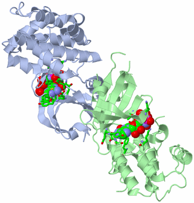 Image Asym./Biol. Unit - sites