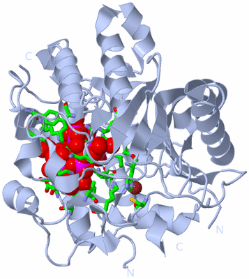 Image Biol. Unit 1 - sites