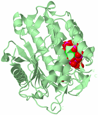 Image Biological Unit 2