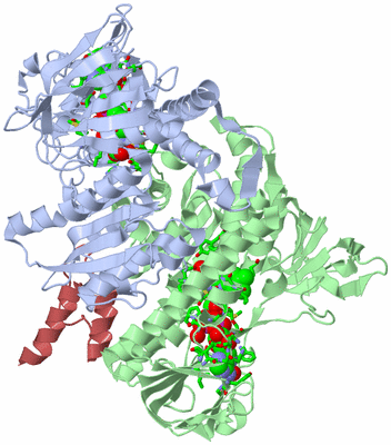 Image Biol. Unit 1 - sites