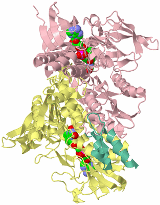 Image Biological Unit 2