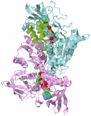 Image Biological Unit 3