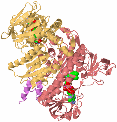 Image Biological Unit 4