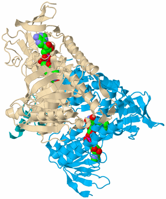 Image Biological Unit 5