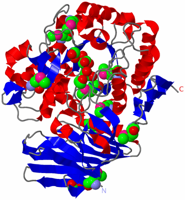 Image Asym./Biol. Unit